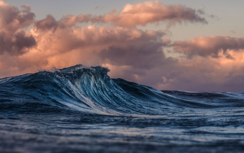 Senior attivi — la terza età dopo i 65 anni